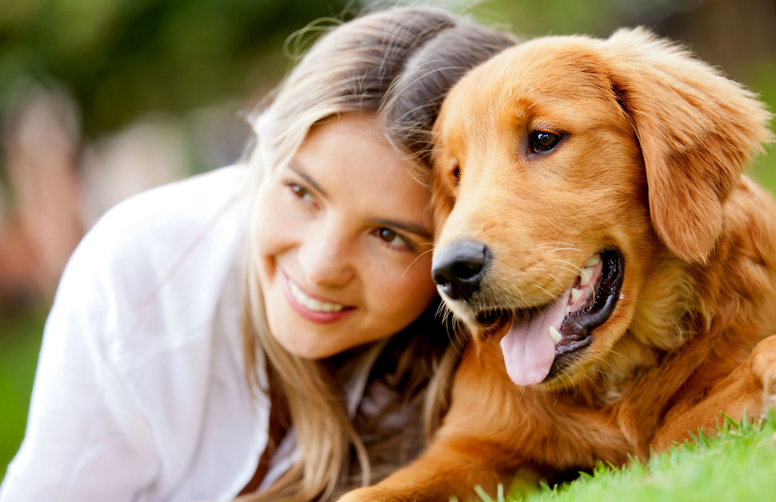 assicurazioni cane e gatto
