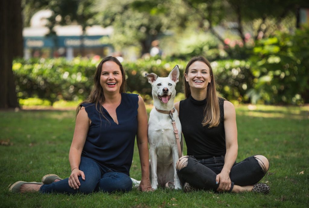 Immagine Assicurazione animali domestici, DA Direkt e Dentolo lanciano prodotto online