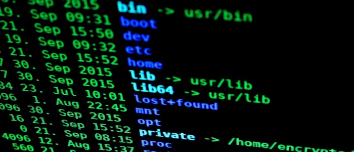 assicurazioni cyber