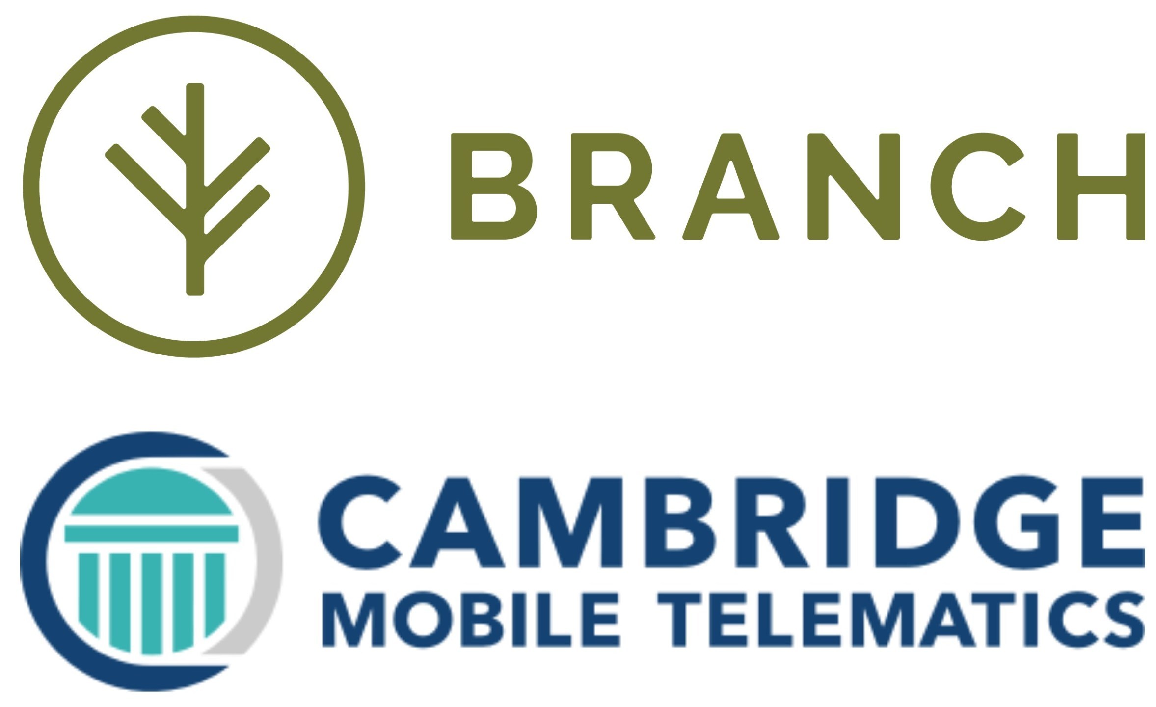 branch insurtech