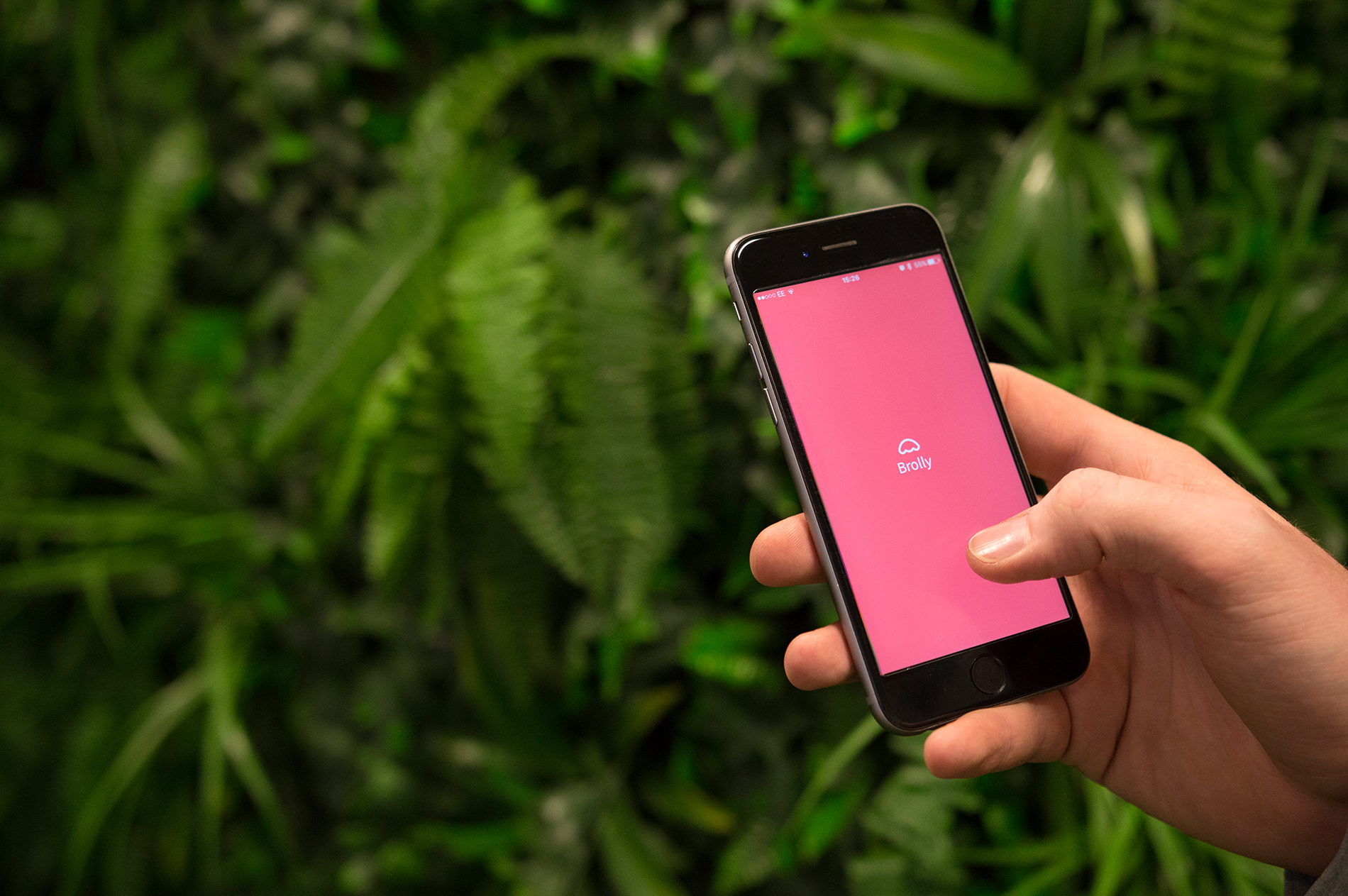 brolly app, insurtech
