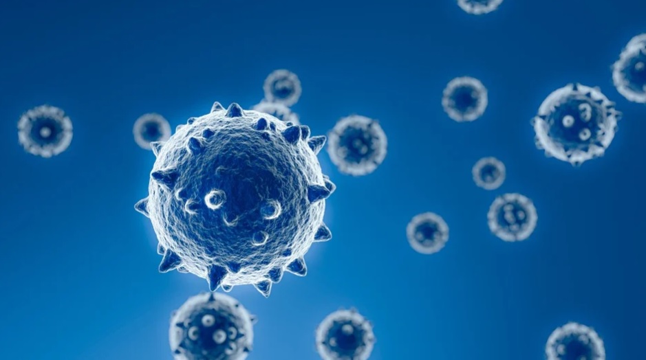 coronavirus