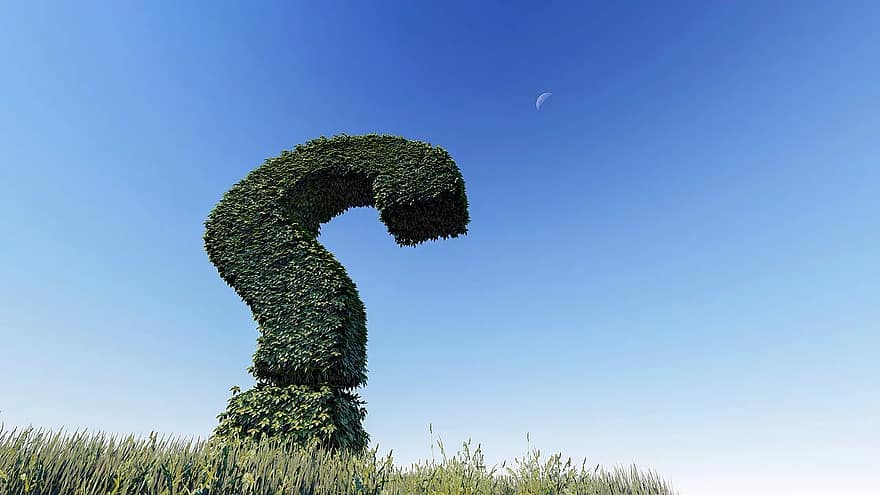 domande, propensione al rischio