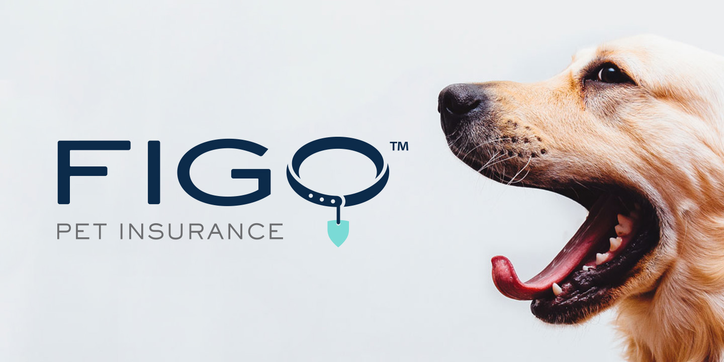 figo pet insurtech