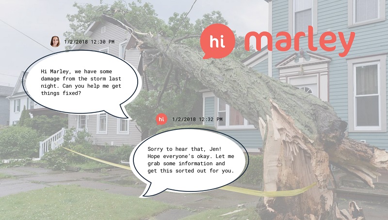 hi marley, insurtech