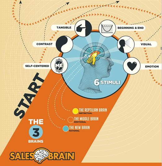 i sei stimoli, neuromarketing