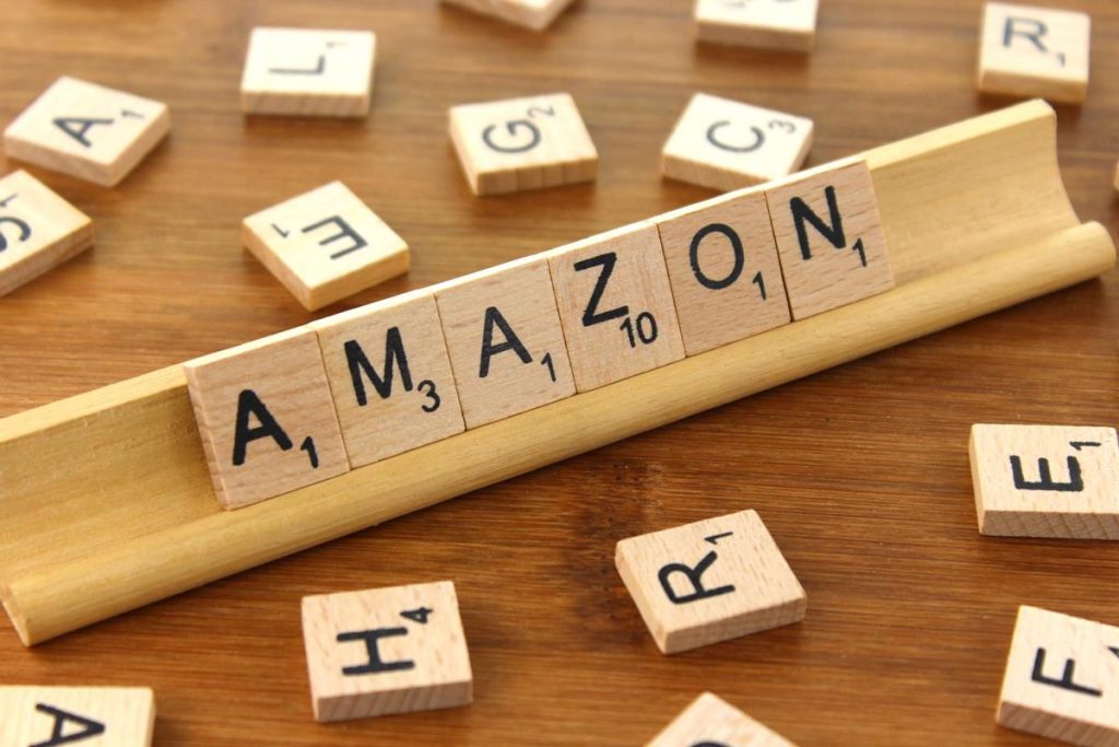Immagine Insurtech, Amazon pronta a vendere polizze in India?