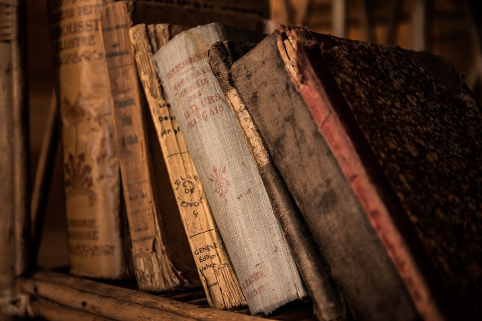 libri assicurazione digitale