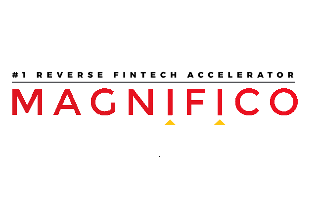 magnifico, assicurazioni