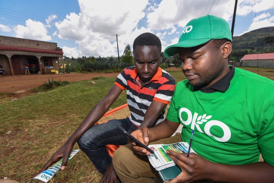 oko insurtech