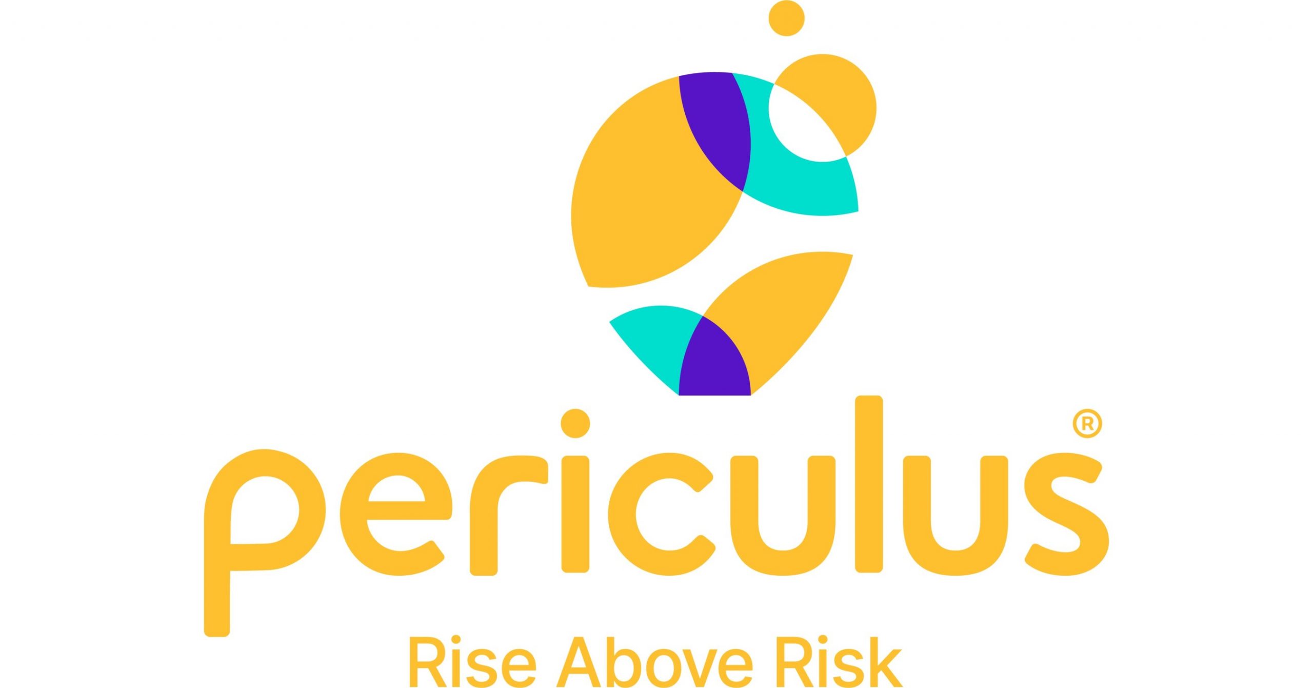 cyber risk, periculus