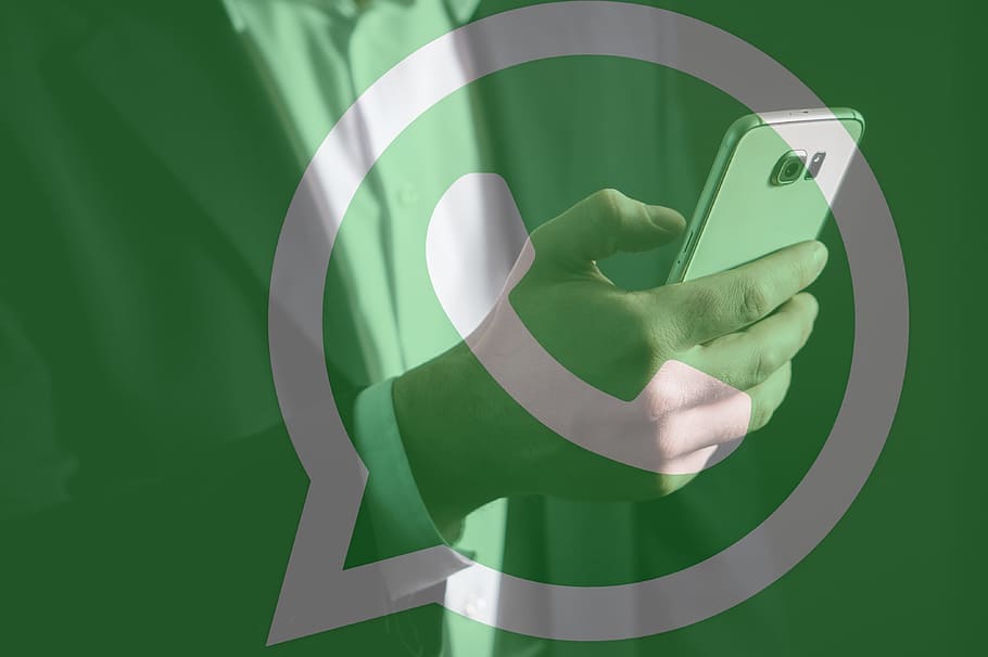 whatsapp assicurazioni