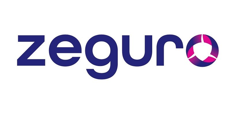 zeguro, rischio cyber