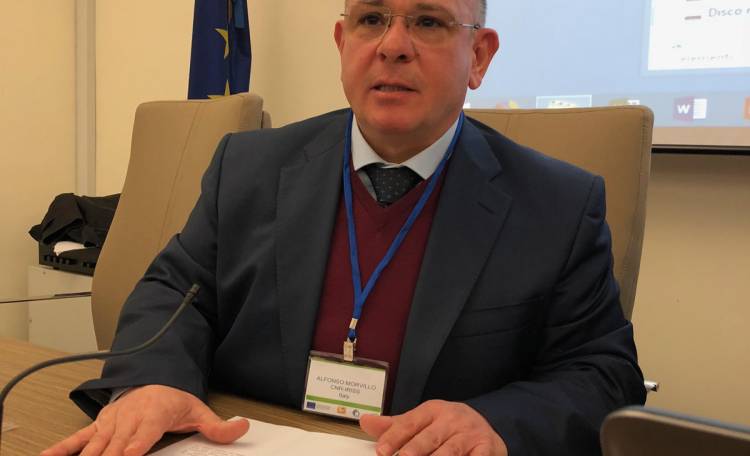 Governo dei rischi assicurativi - Magrisk