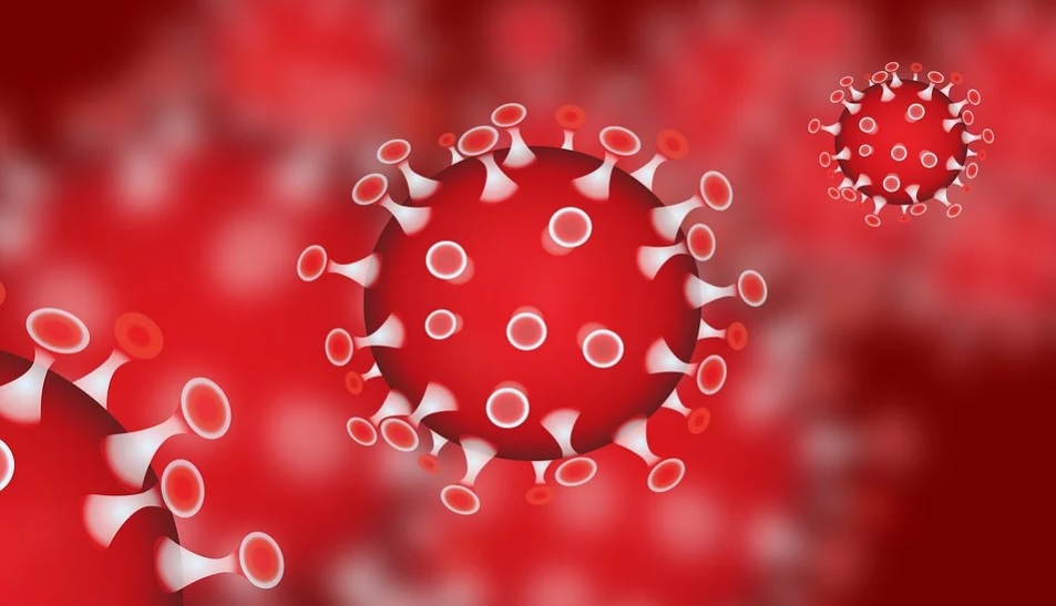 coronavirus